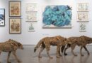 Appel à candidatures 2026 de la Société des artistes animaliers